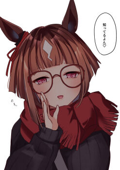1girl alternate_costume animal_ears asymmetrical_hair between_breasts black_sweater blush bow breasts brown_hair commentary_request ear_ribbon glasses hand_up horse_ears horse_girl large_breasts long_sleeves looking_at_viewer multicolored_hair open_mouth red-framed_eyewear red_eyes red_scarf ribbed_sweater sakura_yoru scarf short_hair simple_background smile solo strap_between_breasts streaked_hair sweater transcend_(umamusume) translation_request umamusume upper_body white_background white_hair