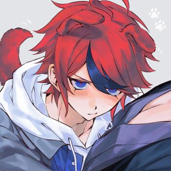 2boys animal_ears black_hair black_haori blue_eyes blush chinese_commentary closed_mouth commentary_request dog_boy dog_ears dog_tail drawstring grey_background grey_jacket hair_between_eyes haori highres hood hood_down hoodie huffing jacket jacket_over_hoodie japanese_clothes kimono male_focus multicolored_hair multiple_boys omokage_yugamu open_clothes open_jacket paw_print puff_of_air purple_kimono red_hair richost sanpaku short_hair solo_focus streaked_hair sumino_takumi tail the_hundred_line_-last_defense_academy- two-tone_hair white_hoodie