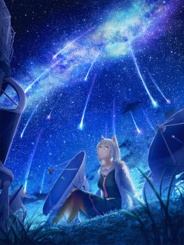 1girl absurdres animal_ears arm_support black_pantyhose black_shirt black_skirt blue_sky braid coat commentary_request fantasy grass grey_hair highres hoshino_mizuki_(hoshino_263f) long_sleeves meteor_shower milky_way night night_sky original outdoors pantyhose pleated_skirt purple_eyes radio_telescope sailor_collar scenery shirt sitting skirt sky solo star_(sky) white_coat white_sailor_collar