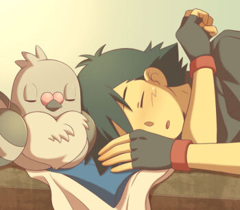 Rule 34 | 1boy, ash ketchum, bird, black gloves, black hair, black shirt, closed eyes, commentary request, cyaneko, fingerless gloves, gen 5 pokemon, gloves, nintendo, pidove, pokemon, pokemon (creature), shirt, short hair, sleeping, solo