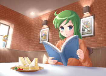 Rule 34 | 1girl, aqua eyes, book, brick wall, broccoli, brown coat, chair, cherry tomato, coat, flower, food, green hair, holding, holding book, indoors, jikkyou powerful pro yakyuu, lilium443, long hair, nozaki iori, on chair, open book, painting (object), plate, power pro kun pocket, power pro kun pocket 9, sandwich, sitting, solo, tomato, vase, window