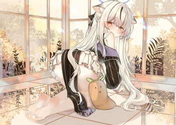 1girl all_fours animal_ear_fluff armpit_crease ass bare_shoulders barefoot black_bow black_jacket blue_archive blue_halo bow chinchilla_ears chinchilla_girl commentary_request feet from_behind full_body grey_hair hair_bow halo highres indoors jacket kokona_(blue_archive) long_hair looking_at_viewer narrowed_eyes pelvic_curtain pinstripe_pattern puckered_lips red_eyes reflective_floor skirt soles solo stuffed_carrot toes very_long_hair white_skirt window zserty555