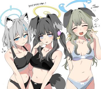 3girls animal_ear_fluff animal_ears black_hair black_panties black_sports_bra blue_archive blue_bra blue_eyes blue_halo blue_panties bra breasts closed_eyes cross_hair_ornament dog_ears dog_girl dog_tail flying_sweatdrops grey_hair hair_ornament halo hibiki_(blue_archive) highres korean_text light_blush long_hair medium_breasts mel_(rjsvhehekd) mismatched_pupils multiple_girls navel open_mouth panties shiroko_(blue_archive) short_hair simple_background small_breasts smile sports_bra sweatdrop tail translation_request twintails umika_(blue_archive) underwear white_background wolf_ears wolf_girl yellow_halo