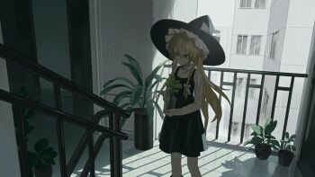 1girl apartment black_dress black_hair black_hat blonde_hair bottle bow braid day dress hair_between_eyes hair_bow hat hat_bow holding holding_bottle kirisame_marisa long_hair long_sleeves plant potted_plant railing rcs_4 shirt side_braid single_braid solo standing touhou very_long_hair white_bow white_shirt witch_hat yellow_eyes