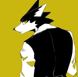 Rule 34 | 1boy, animal ears, body fur, closed mouth, collared shirt, commentary request, furry, furry male, highres, long sleeves, looking at viewer, looking back, male focus, original, sasamichr, shirt, simple background, slit pupils, solo, spot color, upper body, wolf boy, wolf ears, yellow background