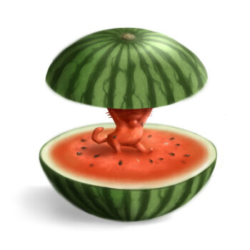 Rule 34 | ao usagi, cat, commentary request, eiken (studio), food, food focus, fruit, no humans, parody, sazae-san, seed, shadow, simple background, tama (sazae-san), watermelon, whiskers, white background