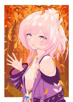 1girl absurdres autumn_leaves bare_shoulders blue_eyes border breasts coat commentary_request cyrene_(aedes_elysiae)_(honkai:_star_rail) cyrene_(honkai:_star_rail) dress from_side highres honkai:_star_rail honkai_(series) jewelry leaf looking_at_viewer necklace parted_lips pink_hair purple_coat shadow97 short_hair small_breasts solo white_border white_dress