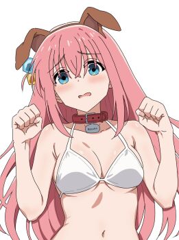 1girl animal_collar animal_ear_hairband animal_ears bikini blush bocchi_the_rock! breasts brown_hairband character_name choppy_bangs clenched_hands collar commentary_request crossed_bangs cube_hair_ornament dog_ear_hairband dog_ears embarrassed fake_animal_ears gotoh_hitori hair_between_eyes hair_ornament hairband hands_up highres large_breasts long_bangs long_hair looking_at_viewer navel open_mouth pink_hair plusthousand0107 raised_inner_eyebrows red_collar simple_background solo stomach straight_hair string_bikini swimsuit upper_body wavy_mouth white_background white_bikini