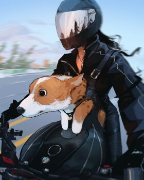 Rule 34 | 1girl, biker clothes, bikesuit, black bodysuit, black gloves, black hair, black helmet, blue sky, bodysuit, day, dog, gloves, helmet, highres, highway, jewelry, long hair, looking ahead, motion blur, motor vehicle, motorcycle, necklace, original, riding, sam yang, sky, solo, welsh corgi
