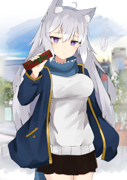 1girl absurdres animal_ear_fluff animal_ears black_skirt blue_jacket blue_scarf blue_sky blush box breasts closed_mouth commentary_request day gift grey_hair hair_between_eyes hand_in_pocket hand_up highres holding holding_gift jacket long_hair looking_at_viewer medium_breasts multicolored_hair nyaha open_clothes open_jacket original pleated_skirt purple_eyes scarf skirt sky solo streaked_hair sweater translation_request valentine very_long_hair white_hair white_sweater