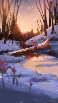 bare_tree fallen_tree flower forest fox ice landscape lens_flare log looking_at_reflection nature no_humans original outdoors painterly path pine_tree reflection reflective_liquid river road scenery snow snowing tree winter zandra