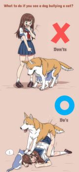 1girl :d bestiality blue_sailor_collar blue_skirt brown_eyes brown_hair brown_shoes cat commentary dog doggystyle english_commentary english_text hetero highres hippo_power interspecies long_hair mating_(animal) miniskirt o_mark open_mouth original panties pleated_skirt sailor_collar sailor_shirt school_uniform scratches serafuku sex sex_from_behind shirt shoes simple_background skirt smile socks speech_bubble spoken_sweatdrop sweat sweatdrop teeth thumbs_up top-down_bottom-up underwear upper_teeth_only white_panties white_shirt white_socks x_mark