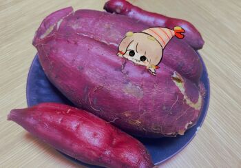 1girl black_eyes blonde_hair braid chibi chibi_only eating food food-themed_hat highres in_food looking_at_viewer miniskirt original pankichi_anko photo_background plate skirt solo sweet_potato tareme