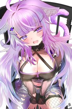 1girl absurdres ahoge animal_ears barona belt black_belt black_shirt blue_hair blue_shorts blush breasts cat_ears cat_girl cat_tail cleavage commentary_request fang fishnet_thighhighs fishnets hair_intakes halterneck highres hololive large_breasts looking_at_viewer multicolored_hair nekomata_okayu nekomata_okayu_(personya_respect) official_alternate_costume official_alternate_hairstyle open_mouth purple_eyes purple_hair purple_thighhighs shirt shorts skin_fang solo tail thighhighs torn_clothes torn_shorts virtual_youtuber