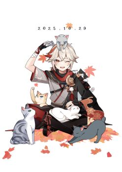 1boy absurdres animal animal_on_head animal_on_lap arm_up armor bandaged_arm bandaged_hand bandages belt black_belt black_gloves cat cat_on_head cat_on_lap chest_belt commentary_request crossed_bangs dated fingerless_gloves full_body genshin_impact gloves grey_kimono hair_between_eyes highres indian_style japanese_armor japanese_clothes kaedehara_kazuha kimono leaf leaf_print male_focus maple_leaf maple_leaf_print multicolored_hair multiple_cats on_head on_lap one_eye_closed open_mouth pom_pom_(clothes) ponytail red_eyes red_hair shoulder_armor sidelocks single_sode sitting sode solo streaked_hair tassel twitter_username usako_(usako1031) white_background white_hair wide_sleeves