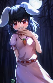 Rule 34 | 1girl, absurdres, animal ears, bamboo, bamboo forest, black hair, blush, carrot necklace, commentary, dress, fingernails, forest, frilled sleeves, frills, full moon, grin, highres, inaba tewi, jewelry, looking at viewer, lop rabbit ears, medium hair, moon, nature, necklace, night, outdoors, pink dress, puffy short sleeves, puffy sleeves, rabbit ears, rabbit girl, red eyes, short sleeves, silhouette, smile, solo, ssalyun, touhou