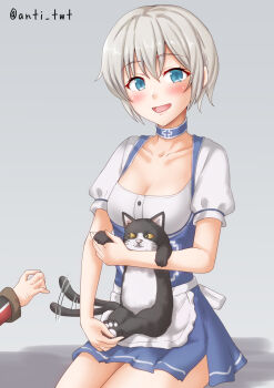 2girls anti_(untea9) apron blonde_hair blue_eyes blush breasts cat cleavage country_connection dirndl german_clothes gradient_background grey_background grey_hair hat highres kantai_collection looking_at_viewer medium_breasts multiple_girls official_alternate_costume open_mouth prinz_eugen_(kancolle) sailor_collar sailor_hat short_hair sitting twitter_username unsinkable_sam z1_leberecht_maass_(kancolle) z1_leberecht_maass_(oktoberfest)_(kancolle)