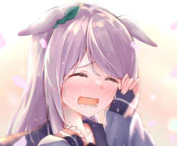 Rule 34 | 1girl, absurdres, animal ears, blush, bow, closed eyes, commentary request, crying, ear covers, ear ribbon, ears down, gradient background, green ribbon, hand on own face, highres, horse ears, horse girl, joker oowo, long hair, long sidelocks, long sleeves, mejiro mcqueen (umamusume), nose blush, open mouth, parted bangs, petals, pinching sleeves, portrait, purple hair, purple sailor collar, purple shirt, raised inner eyebrows, ribbon, sad, sailor collar, school uniform, serafuku, shirt, sidelocks, simple background, single ear cover, sleeves past wrists, sobbing, solo, straight hair, sunlight, swept bangs, tears, tracen school uniform, umamusume, wavy mouth, winter uniform, wiping tears