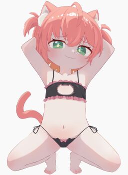 1girl absurdres animal_ear_fluff animal_ears animal_print black_bra black_panties bow bow_panties bra bright_pupils cat_cutout cat_ear_panties cat_ears cat_girl cat_lingerie cat_panties cat_print cat_tail chromashift clothing_cutout fuyo_cloverfield green_eyes highres leprechaun loli looking_at_viewer notkuriimu orange_hair panties pink_bow print_panties simple_background sparkling_eyes tail tail_raised underwear underwear_only virtual_youtuber white_background