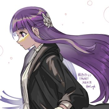 Rule 34 | 1girl, black coat, blunt bangs, coat, commentary, dated, dress, expressionless, fern (sousou no frieren), from side, hair ornament, highres, ichirugi, long hair, long sidelocks, long sleeves, open clothes, open coat, purple eyes, sidelocks, solo, sousou no frieren, translated, twitter username, upper body, white background, white dress