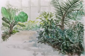absurdres bush commentary_request day grass harusa1107 highres nature no_humans original painting_(medium) path plant road scenery sketch traditional_media tree unfinished watercolor_(medium)