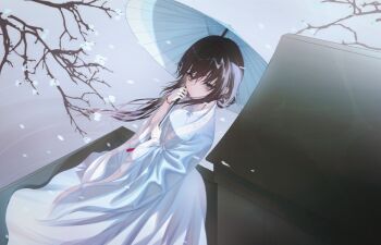 1girl black_hair blue_eyes boat chinese_clothes commentary_request expressionless holding holding_umbrella long_hair looking_at_viewer mansui_(the_hungry_lamb) oil-paper_umbrella petals solo sorala_(artist) the_hungry_lamb:_traveling_in_the_late_ming_dynasty umbrella water watercraft