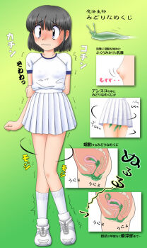 1girl animal animal_insertion arms_behind_back bad_anatomy bestiality black_eyes black_hair bladder blush breasts covered_erect_nipples creature_insertion creature_inside cross-section facing_viewer fallopian_tubes female_focus full_body gradient_background green_background miniskirt nipples no_panties object_insertion ovaries pisipisi pleated_skirt poorly_drawn rectum see-through_clothes shirt short_hair simple_background skirt slug small_areolae small_breasts small_nipples socks solo sweatdrop t-shirt text_focus translated uterus vaginal vaginal_object_insertion white_footwear white_skirt white_socks x-ray