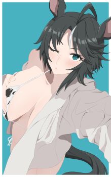 Rule 34 | 1girl, ahoge, alternate costume, animal ears, animal print, bikini, black hair, blue background, blue eyes, border, breasts, cleavage, commentary request, cow print, cow print bikini, dress shirt, fuji kiseki (umamusume), grabbing own breast, hair between eyes, highres, horse ears, horse girl, horse tail, kumabachi315, large breasts, multicolored hair, one eye closed, open clothes, open shirt, outside border, print bikini, shirt, shirt partially removed, short hair, side-tie bikini bottom, simple background, solo, standing, streaked hair, swimsuit, tail, umamusume, white border, white hair
