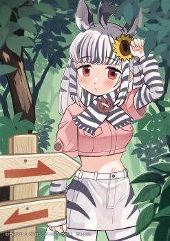 animal_ears animal_print black_hair black_pantyhose black_scarf black_skirt black_sleeves blush cowboy_shot extra_ears flower hair_between_eyes hair_flower hair_ornament highres kemono_friends kemono_friends_3 long_sleeves midriff mountain_zebra_(kemono_friends) multicolored_hair navel official_art pantyhose pencil_skirt pink_shirt print_pantyhose print_scarf print_skirt print_sleeves red_eyes scarf shirt short_hair short_sleeves skirt sunayama_sunaco sunflower sunflower_hair_ornament t-shirt two-tone_hair two-tone_panties two-tone_scarf two-tone_skirt two-tone_sleeves white_hair white_pantyhose white_scarf white_skirt white_sleeves zebra_ears zebra_girl zebra_print zebra_tail