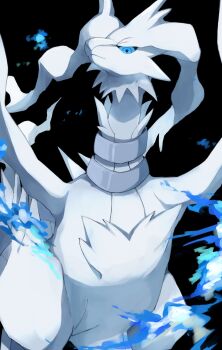Rule 34 | blue eyes, blue fire, blue sclera, closed mouth, colored sclera, commentary request, dragon, fire, gen 5 pokemon, highres, kou11021301, legendary pokemon, looking at viewer, nintendo, no humans, pokemon, pokemon (creature), pokemon focus, reshiram, solo