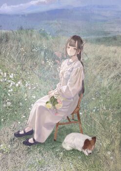 1girl black_hair black_shoes chair closed_mouth cloud dog dress flower full_body grass grey_eyes hair_ribbon hands_on_own_legs highres holding holding_flower horizon jewelry long_dress long_hair long_sleeves looking_at_viewer mary_janes necklace on_chair original papillon_(dog) puffy_long_sleeves puffy_sleeves purupurualiens ribbon scenery shoes sitting sky socks solo white_dress white_ribbon white_socks
