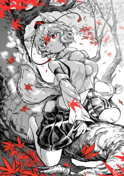 1girl animal_ear_fluff animal_ears autumn_leaves bare_shoulders breasts chest_sarashi clothing_cutout detached_sleeves full_body greyscale hat highres in_tree inubashiri_momiji leaf maple_leaf medium_breasts monochrome outdoors pom_pom_(clothes) qingwa_chi_she red_eyes red_hat red_leaf sarashi shirt sitting sitting_in_tree sitting_on_branch skirt solo spot_color stomach tail thigh_cutout tokin_hat touhou tree wolf_ears wolf_tail