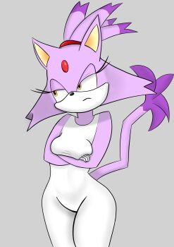 1girl absurdres animal_ears annoyed blaze_the_cat bodysuit cat cat_ears cat_girl cat_tail crossed_arms furry furry_female highres non-web_source purple_fur sega sonic_(series) sonic_rush standing tail