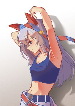 Rule 34 | 1girl, absurdres, animal ears, arm behind head, belt, blue belt, blue eyes, blue hairband, blue tank top, closed mouth, commentary, cowboy shot, crop top, ear covers, fingerless gloves, gloves, gradient background, grey background, grey hair, hairband, headband, highres, horse ears, horse girl, long hair, looking at viewer, loose belt, midriff, navel, no jacket, pants, red belt, red headband, shadow, smile, solo, standing, tamamo cross (fast as lightning) (umamusume), tamamo cross (umamusume), tank top, umamusume, white pants, xiaofanke