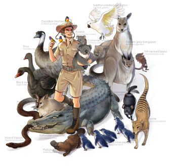 1boy animal australia_(hetalia) axis_powers_hetalia bandaid bird black_swan_(bird) boots brown_hair cockatoo crocodile crocodilian emu finch hat kangaroo koala lizard male_focus parrot penguin platypus sherry_lai snake solo swan tasmanian_devil thylacine wallaby_(animal) white_background wombat
