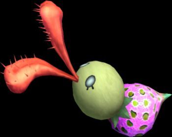 bucculus lowres non-web_source tagme