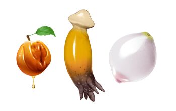 blackshirtboy breasts food food_focus fruit highres leaf liquid mushroom nipples no_humans original peach penis phallic_symbol plant_roots pussy simple_background still_life what white_background