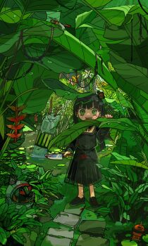 1girl absurdres black_hair blood blood_on_clothes bloody_knife bug commentary_request dragonfly green_eyes highres holding holding_weapon insect knife long_hair open_mouth original plant slit_pupils terada_tera weapon