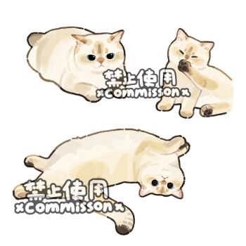 Rule 34 | animal, animal focus, blue eyes, cat, cat loaf, cleaning, colorpoint (pattern), commission, flexible, full body, leg up, looking at viewer, lying, multiple views, no humans, on side, original, pawpads, simple background, sitting, watermark, white background, xiao bo kuai kuai