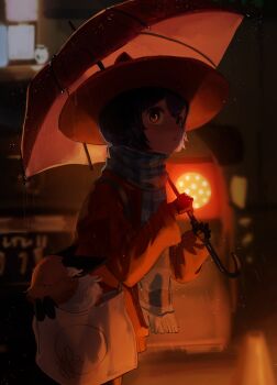 Rule 34 | 1girl, 1other, :o, absurdres, alternate costume, androgynous, animal ear fluff, animal hat, bag, black ears, black fur, blue hair, blue scarf, brown coat, brown eyes, brown hat, car, cat hat, closed eyes, coat, colored sclera, commentary, contemporary, cowboy shot, english commentary, fox, from side, hat, highres, holding, holding umbrella, in bag, in container, long sleeves, looking at viewer, motor vehicle, neck fur, niko (oneshot), oneshot (game), orange fur, parted lips, rue (oneshot), scarf, shadches72, short hair, shoulder bag, sidelighting, striped clothes, striped scarf, traffic cone, umbrella, vertical-striped clothes, vertical-striped scarf, white fur, yellow sclera
