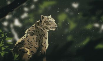 animal_focus blurry blurry_background branch commentary_request highres leaf no_humans original outdoors plant rain snow_leopard spotted_fur wet yellow_eyes yoshiki_(yuki)