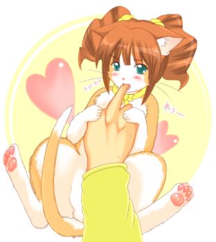 Rule 34 | 00s, animal ears, animal hands, animalization, aqua eyes, blush, cat, cat ears, cat tail, fang, heart, idolmaster, idolmaster (classic), licking, licking finger, pov, ribbon, shiina you (tomoshibi), tail, takatsuki yayoi, twintails