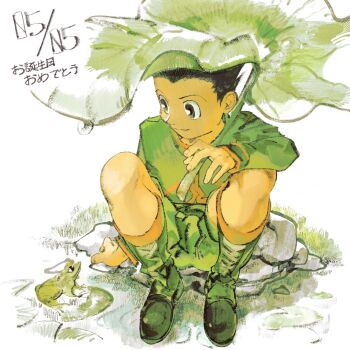 Rule 34 | 1boy, 7enn, animal, boots, closed mouth, colored skin, commentary request, frog, gon freecss, grass, green boots, green shirt, green shorts, highres, hunter x hunter, leaf, lily pad, male focus, pond, rock, shirt, shoes, short hair, shorts, sitting, smile, very short hair, white background, yellow skin