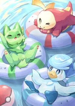 Rule 34 | > <, > o, :3, afloat, aqua eyes, bright pupils, closed mouth, commentary request, fangs, fuecoco, illustrattyako, innertube, nintendo, no humans, one eye closed, open mouth, pokemon, pokemon (creature), quaxly, smile, sprigatito, starter pokemon trio, swim ring, water, white pupils