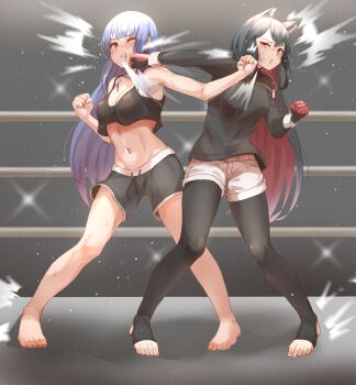 Rule 34 | 2girls, artist request, catfight, character request, midriff, multiple girls, navel, punching, shorts, tagme, texas (arknights)