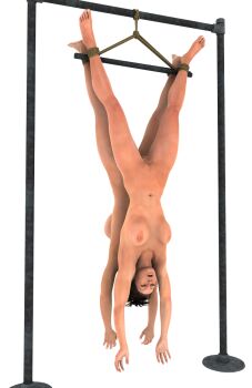 2girls 3d bdsm black_hair bondage bound breasts closed_eyes drcyf female_focus medium_breasts multiple_girls navel nipples nude pussy spread_legs spreader_bar suspension uncensored upside-down