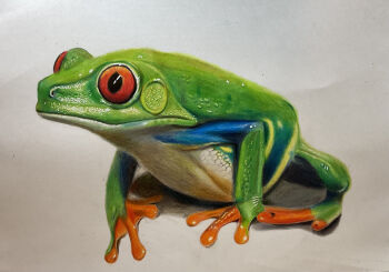 Rule 34 | animal, animal focus, colored pencil (medium), commentary request, frog, highres, no humans, ohp95kg, original, photorealistic, realistic, red-eyed tree frog, simple background, traditional media, white background