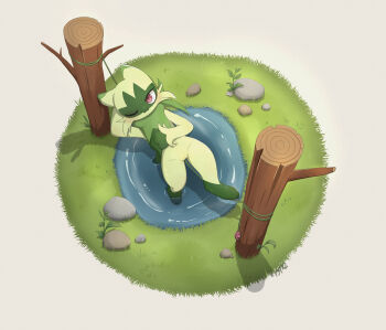 1girl absurdres body_fur commentary floragato from_above furry furry_female grass green_fur highres kjh_22 looking_at_viewer lying nintendo on_back one_eye_closed pokemon pokemon_(creature) pokemon_focus pond pussy red_eyes rock solo untranslatable_commentary