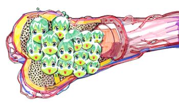 6+girls anatomy avvunka blue_eyes bone colored_skin cross-section green_hair green_skin multiple_girls open_mouth original salmon_girl_(avvunka) smile veins what white_background