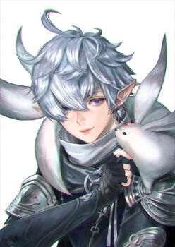 1boy absurdres ahoge alphinaud_leveilleur armor black_gloves blue_eyes cam_(cammero95713700) chromatic_aberration creature creature_on_shoulder earclip final_fantasy final_fantasy_xiv fingerless_gloves gloves highres jewelry looking_at_creature male_focus on_shoulder pointy_ears shadow short_hair shoulder_armor simple_background smile solo_focus white_background white_hair